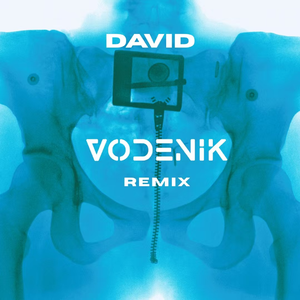 DAVID (Vodenik Remix)
