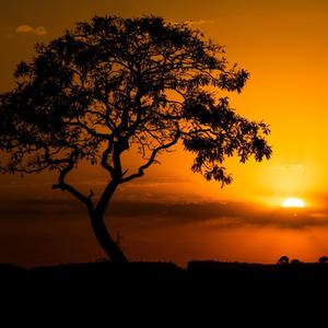 时间太伤，我怕伤不起2