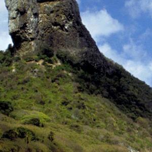 红灯记十七年风雨狂怕谈以往