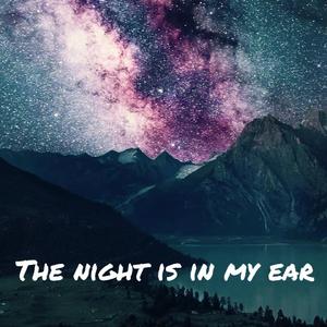 夜在耳边(Prod.Dried Meat)