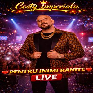 Pentru Inimi Rănite