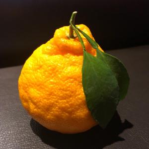 梵高先生（翻自 李志）