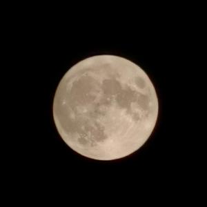 承都city freestyle