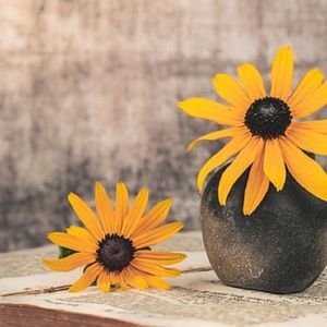 映悠悠 (放松冥想)