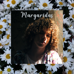 Margaridas