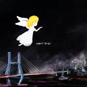 Want to Fly