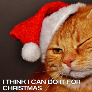 Clergyman for the Proceeds