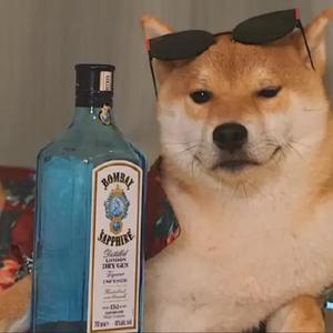 恋爱进行时Loveing