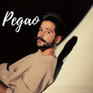 Pegao