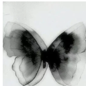 不为谁而作的歌