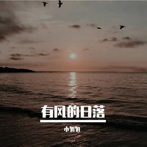 有风的日落（完整女版）