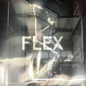 FLEX