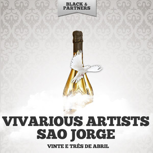 Padroeiro Do Brasil (Original Mix)