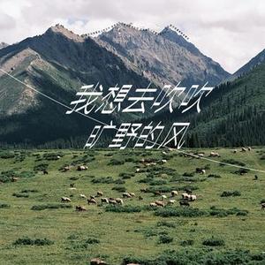 我想去吹吹旷野的风 (Cover 徐剑秋)