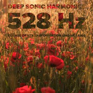 Heilung des Herzens durch Harmonische Resonanz