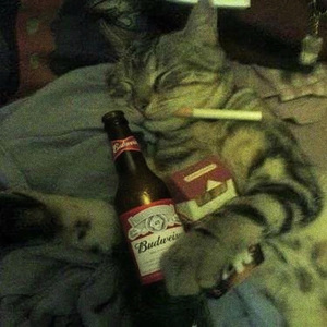 Budweiser