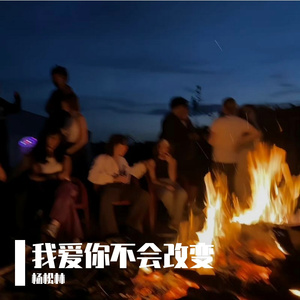 我爱你不会改变