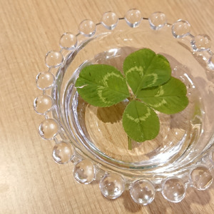 新しい日々