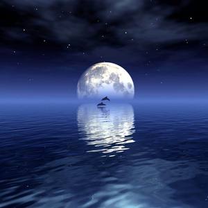 月亮代表我的心（8bit Bootleg）