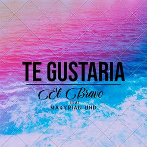 Te Gustaría