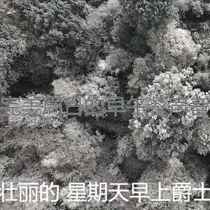 抚慰的轻松的周日回忆