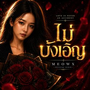 ไม่บังเอิญ
