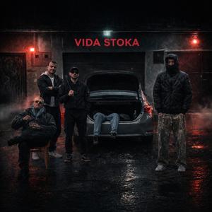 Vida Stoka