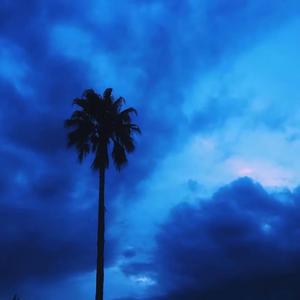 Surf Mesa-I Love You Baby ft. Emilee（Lost Mask remix）