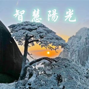 智慧阳光