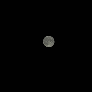 夜に駆ける（钢琴抒情版）