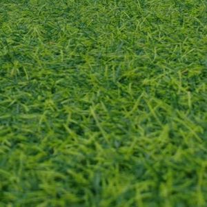 何时才能见到你