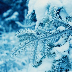 马尾辫的姑娘(钢琴曲轻音乐)