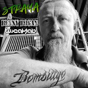 Straya (feat. Tweaklab) (Instrumental)