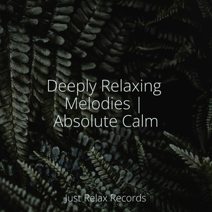 Scarlet Memories Linger On