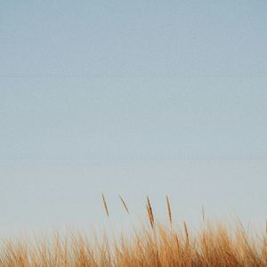 星轨与呼吸的和弦