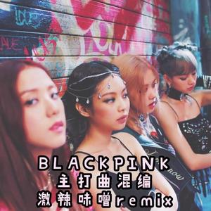 BLACKPINK-BLACKPINK主打曲混编（激辣味噌 / YoGHurt阿瑶 remix）