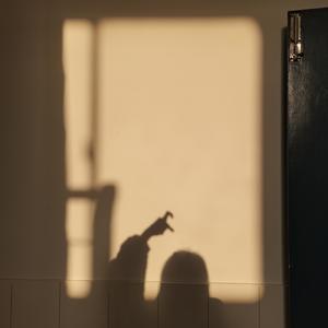 房间(cover. 刘瑞琦)