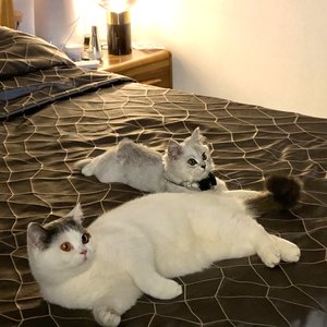 灯火列车号（demo）