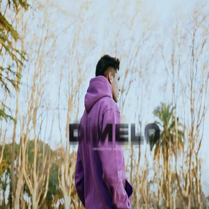 Dimelo