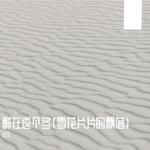 醉在这个冬(雪花片片的飘落)