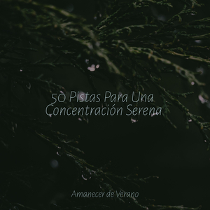 Elogio del Mar Profundo