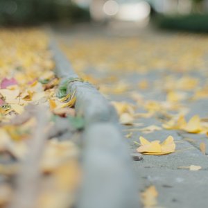 唤醒生命新章.wav