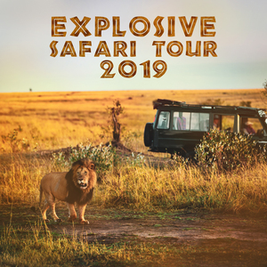 Explosive Safari Tour 2019