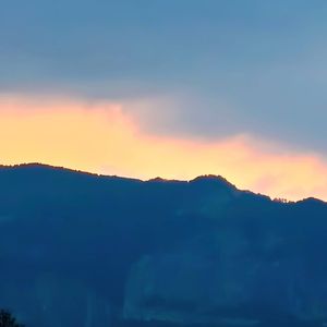 清心（纯音乐）