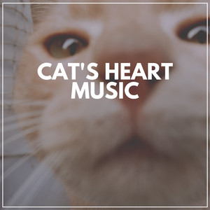Soothing Melodies to Calm Your Cat, Pt. 33