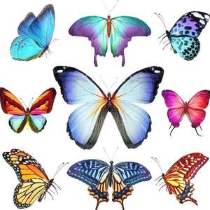 Cry baby(Prod.99hour)