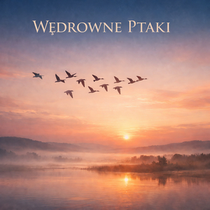 Wędrowne Ptaki