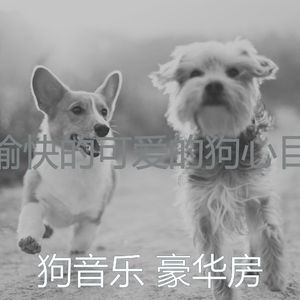 柔和的小狗时刻