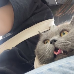 孤独患者8