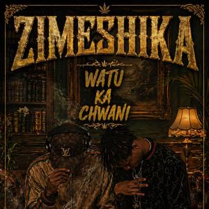 Zimeshika (Official Music Audio)